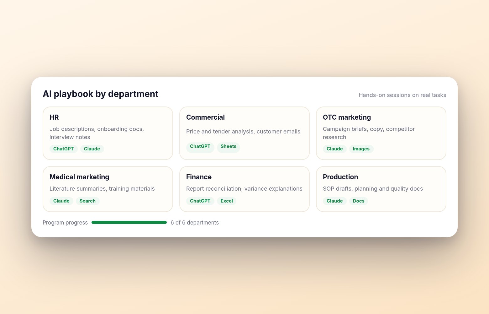 Pharmaceutical manufacturer: AI training for six departments, built around their real day-to-day tasks.